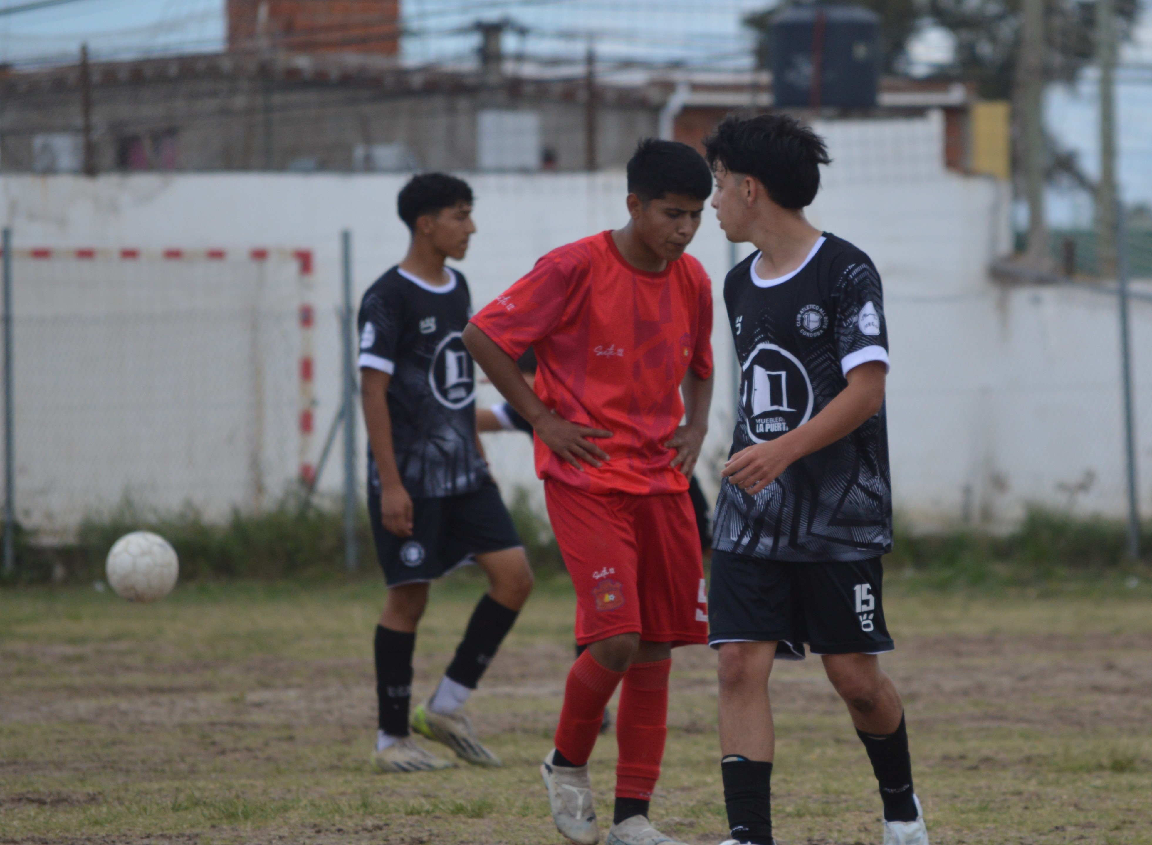 Imagen 3